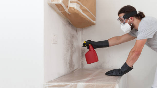 Professional Mold Testing technician working in Uniondale, NY